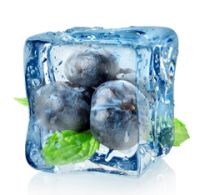  - Cliquer pour agrandir